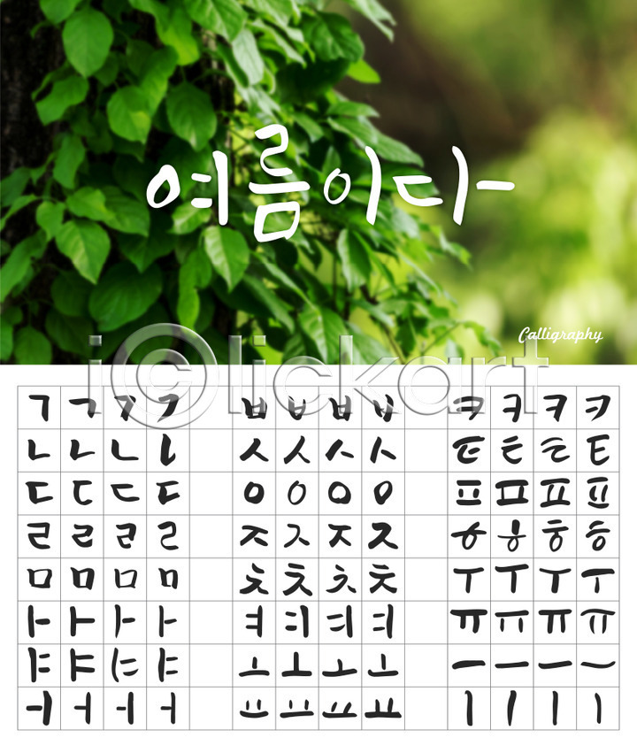 감성 사람없음 AI(파일형식) 일러스트 국내일러스트 나뭇잎 모음 백그라운드 세트 손글씨 식물 여름(계절) 자음 조합형타이포 캘리그라피 캘리배경 타이포그라피 한글
