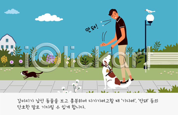 귀여움 산책 남자 남자한명만 사람 한명 AI(파일형식) 일러스트 가로등 강아지 개 고양이 공원 교육 교정 구름(자연) 국내일러스트 꽃 목줄 반려 반려견 반려동물 벤치 식물 연습 조류 주인 주택 펫팸족