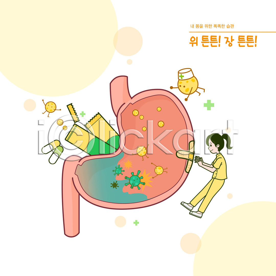 성인 성인여자한명만 여자 한명 PSD 일러스트 간호사 건강 국내일러스트 내장 반창고 생활습관 습관 알약 위(내장기관) 유산균 유해물질 전신 치료 타이포그라피