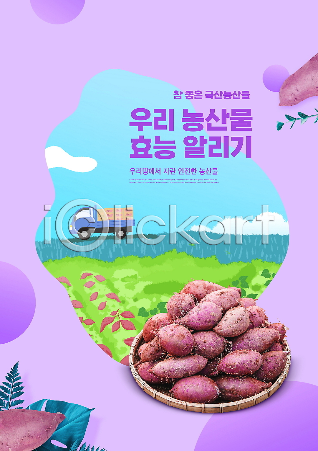 사람없음 PSD 편집이미지 고구마 고구마밭 국산 농작물 담기 로컬푸드 보라색 소쿠리 알림 이미지편집 타이포그라피 트럭