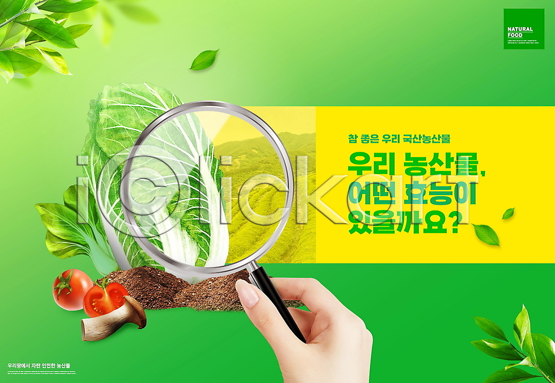 분석 신체부위 PSD 편집이미지 국산 나뭇잎 농작물 돋보기 들기 로컬푸드 방울토마토 배추 손 이미지편집 초록색 타이포그라피