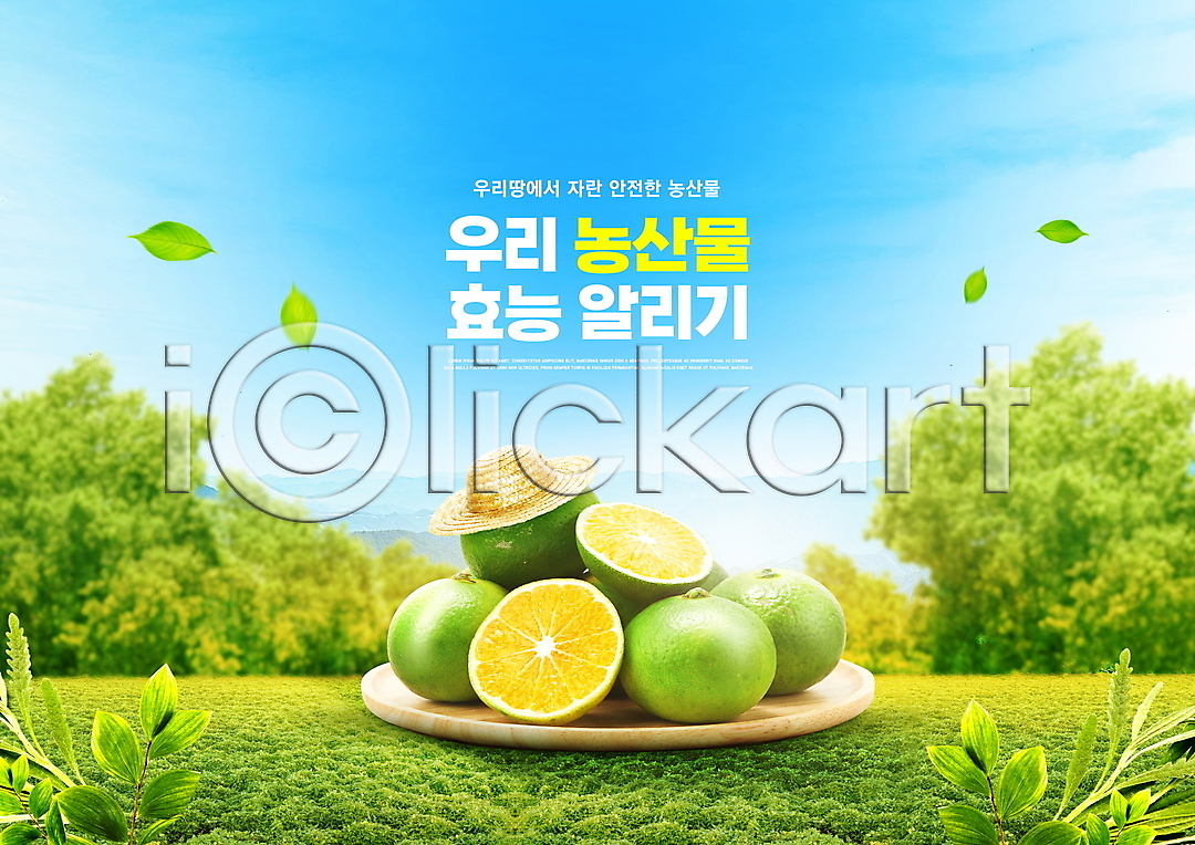 사람없음 PSD 편집이미지 국산 나무받침 나뭇잎 농작물 로컬푸드 밀짚모자 알림 유기농 이미지편집 청귤 초록색 초원(자연) 타이포그라피 하늘색
